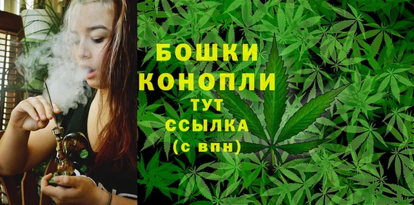 тгк Корсаков