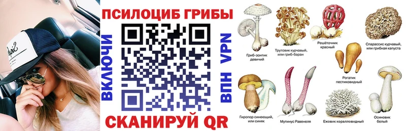 Галлюциногенные грибы Magic Shrooms где продают наркотики Сосновка